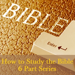 Bible Study